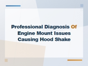 Professional Diagnosis of Hood Shakes From Engine Mount