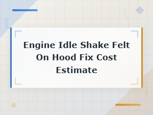 Engine Idle Shake Felt on Hood Fix Cost Estimate